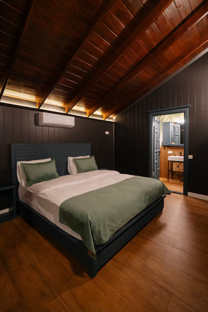 Sapanca Nems görsel 3